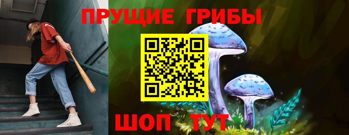 Псилоцибиновые грибы GOLDEN TEACHER  Вход с VPN  Калач-на-Дону 